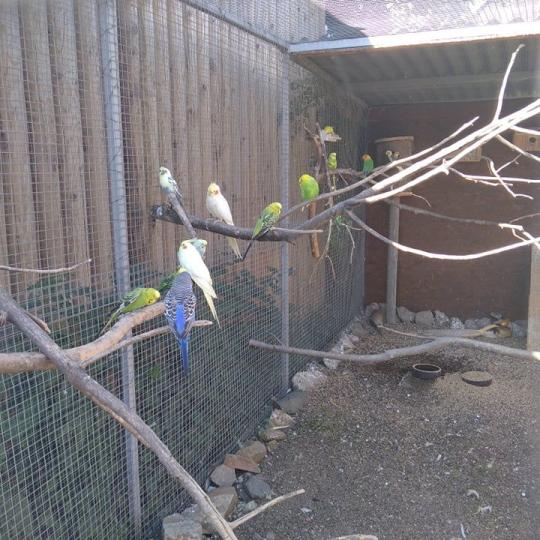Výlet Zoo Merlin Kuřátka 25